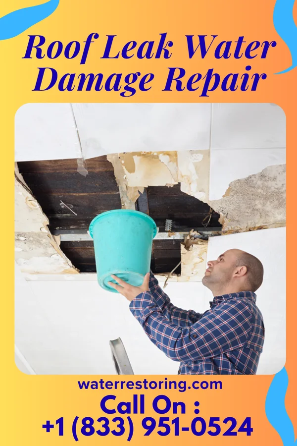 Roof Leak Water Damage Repair in Camp Wood, TX